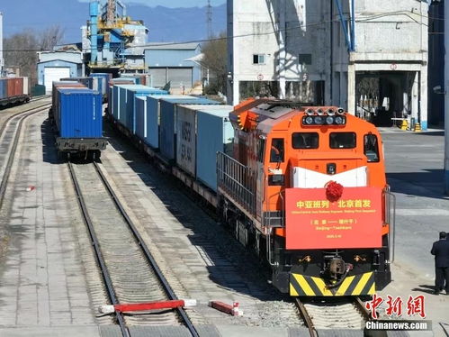 從長安攜手到草原新篇,中國元首外交再度落子中亞