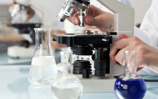 大連新圖聞科技 專(zhuān)業(yè)網(wǎng)站建設(shè)與制作服務(wù)指南